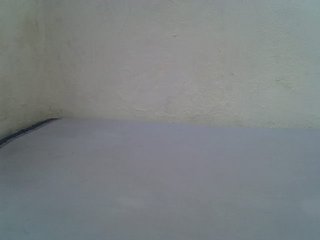 sashadoll8890
