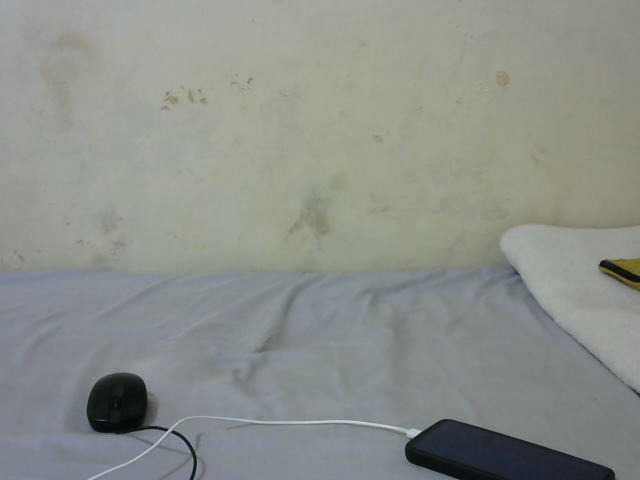 sashadoll8890 live cam on BongaCams