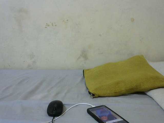 sashadoll8890 live cam on BongaCams
