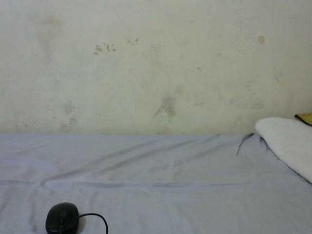 sashadoll8890 live cam on BongaCams