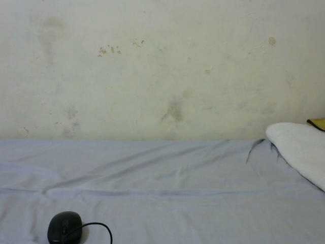 sashadoll8890 live cam on BongaCams