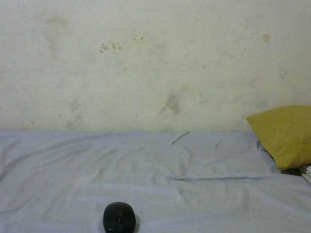 sashadoll8890 live cam on BongaCams
