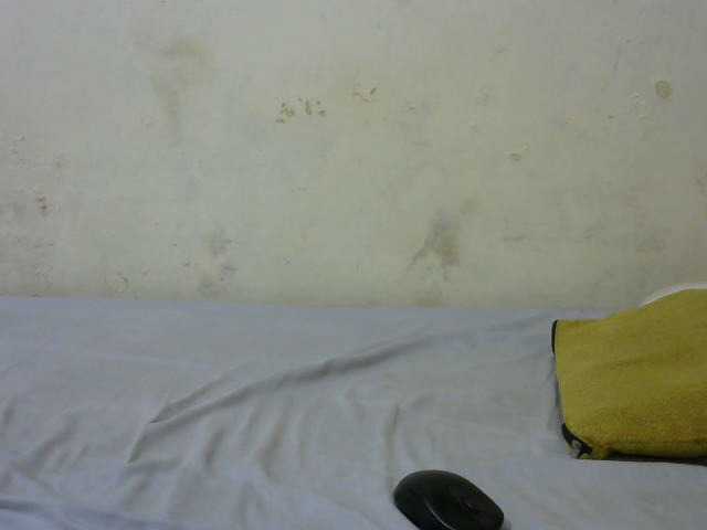 sashadoll8890 live cam on BongaCams