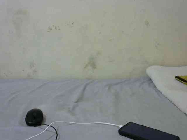 sashadoll8890 webcam