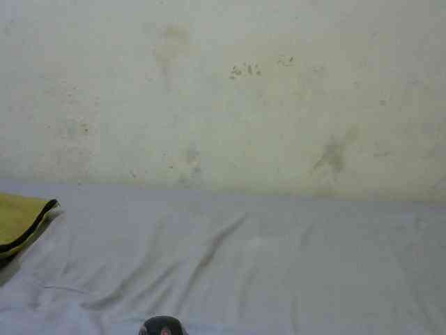 sashadoll8890 webcam
