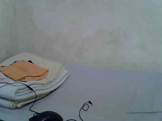 sashadoll8890 webcam