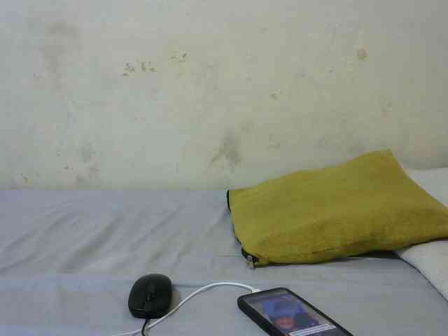 sashadoll8890 webcam