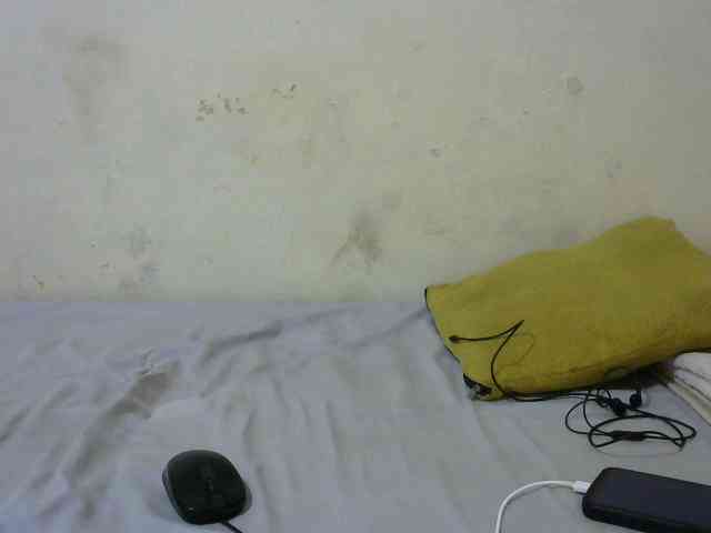 sashadoll8890 webcam