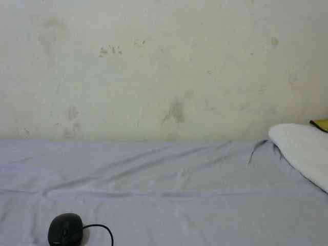 sashadoll8890 webcam
