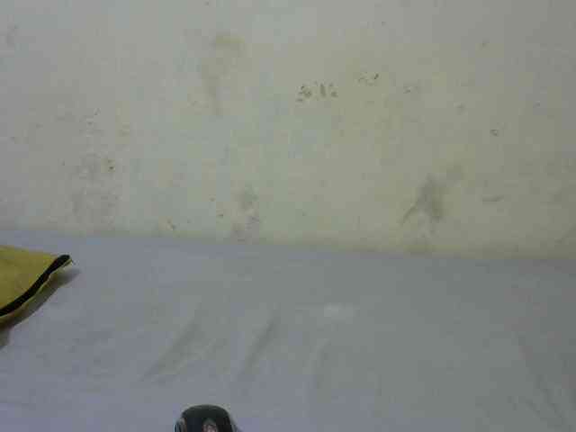 sashadoll8890 webcam