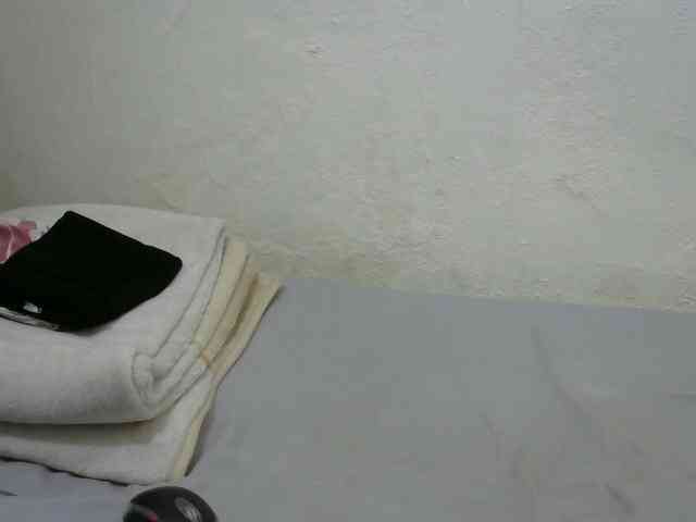 sashadoll8890 webcam
