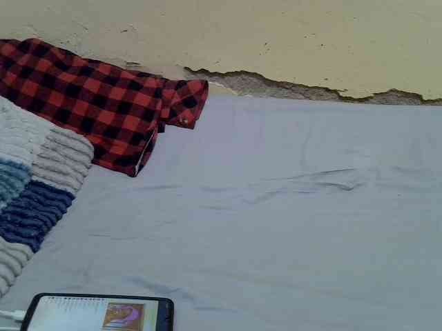 sashadoll8890 webcam
