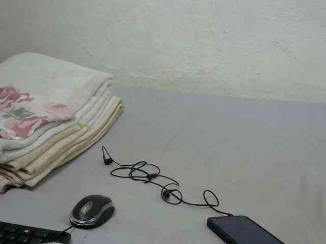 sashadoll8890 webcam