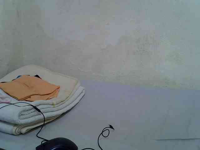 sashadoll8890 webcam