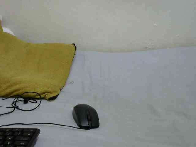 sashadoll8890 webcam