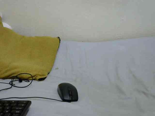 sashadoll8890 webcam