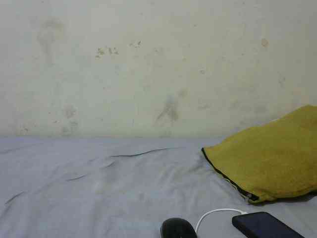 sashadoll8890 webcam