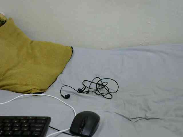 sashadoll8890 webcam