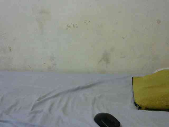 sashadoll8890 webcam