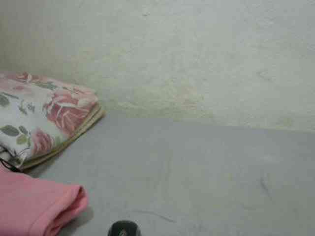 sashadoll8890 webcam