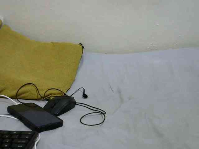 sashadoll8890 webcam