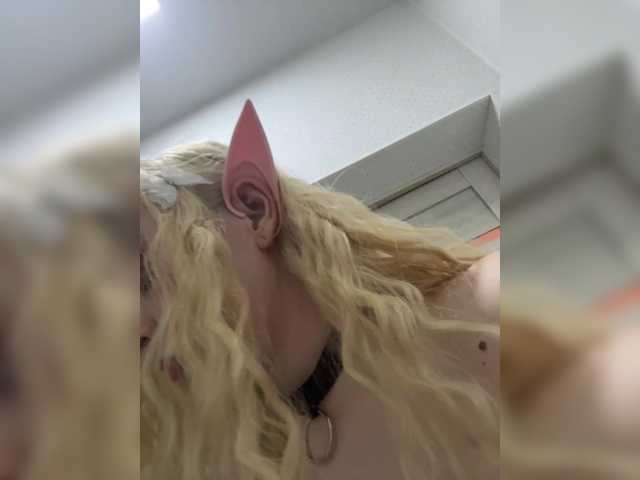 Chanterelle008 live cam on BongaCams