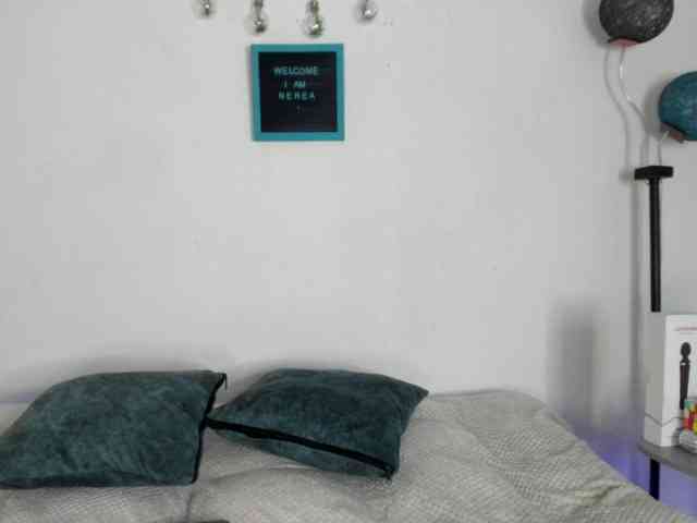 soynerea webcam