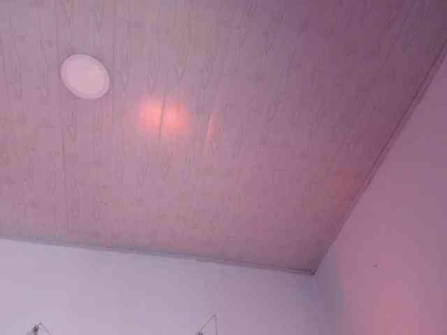 soynerea webcam