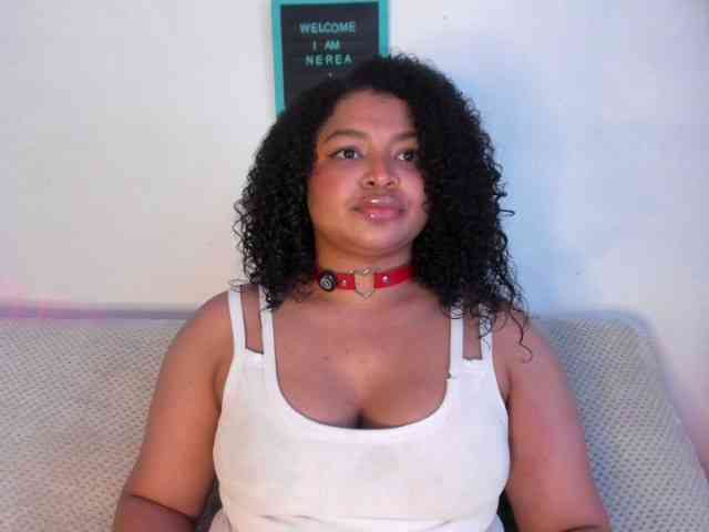 soynerea webcam