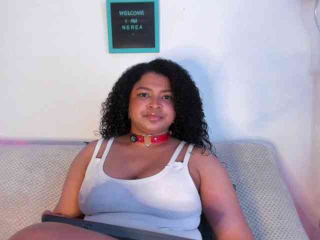 soynerea webcam