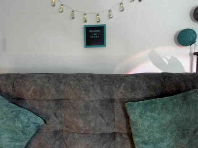 soynerea webcam