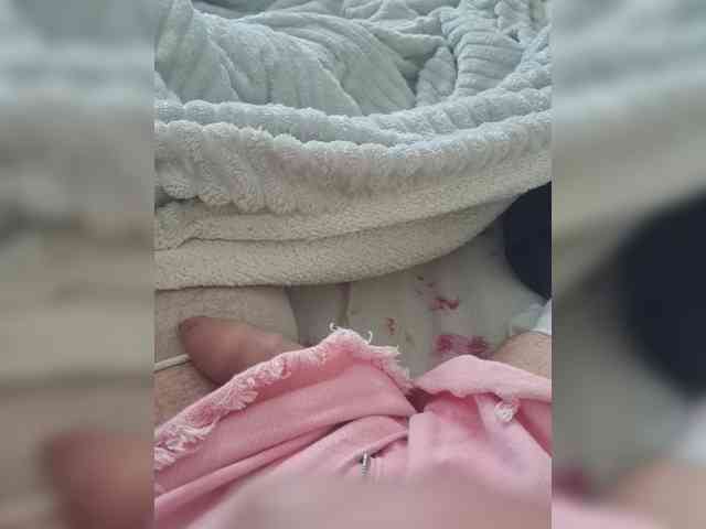 Navie