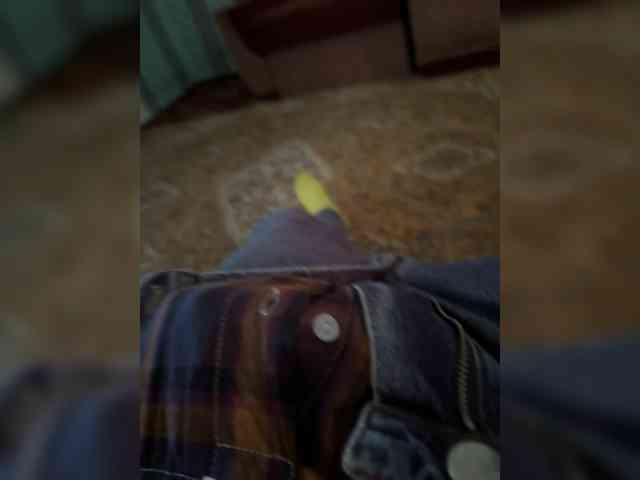 Navie