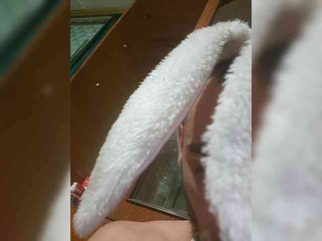 Navie