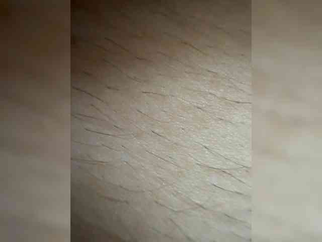 Navie