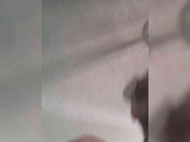 Navie