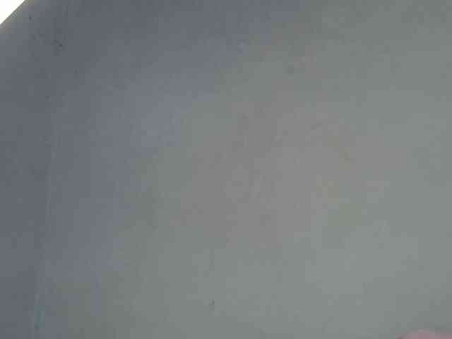 Bianca001 webcam