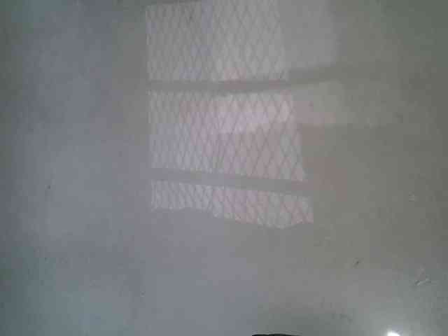 Bianca001 webcam
