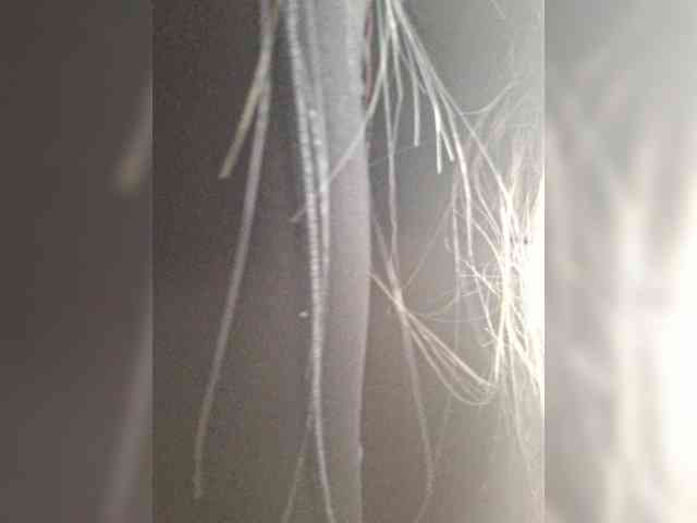Malbixa webcam