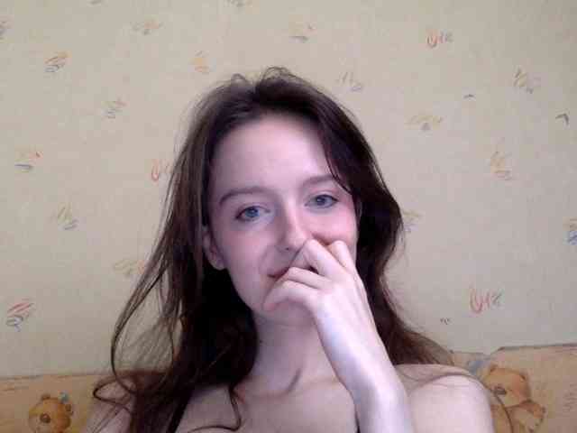 P911 webcam