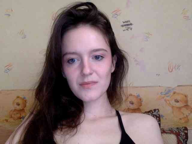 P911 webcam