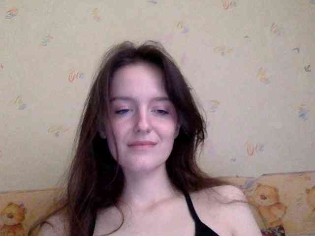 P911 webcam