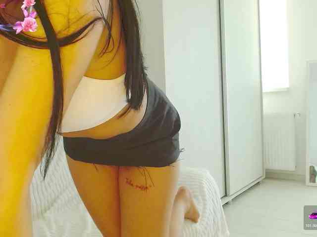 Modelo: Vanila06