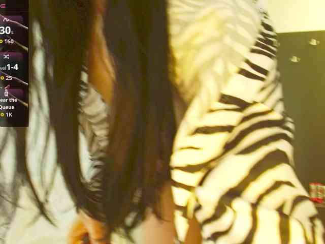 Modelo: Vanila06