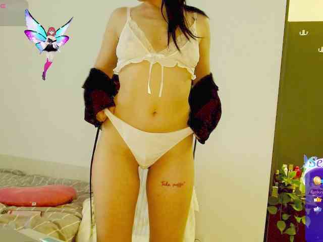 Modelo: Vanila06