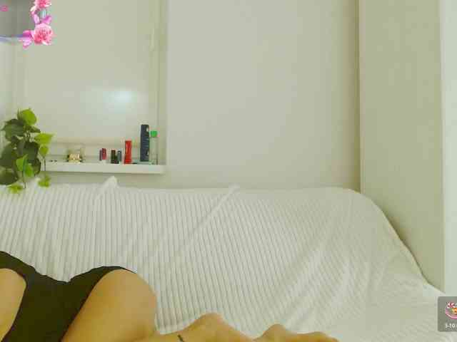 Modelo: Vanila06