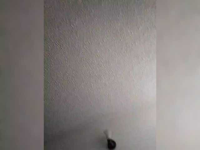 Dannali22