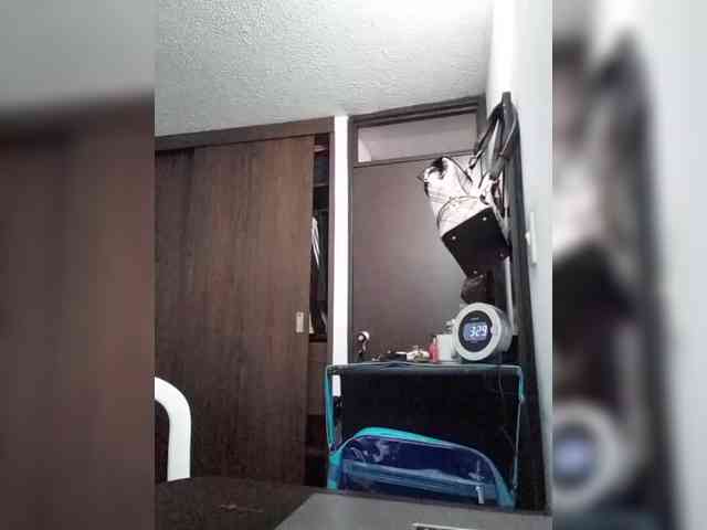 Dannali22 webcam