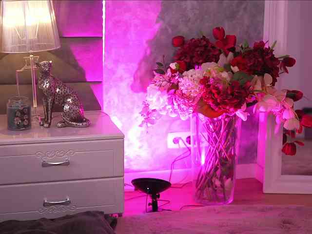 itsjessiebabe Sex Cam Show