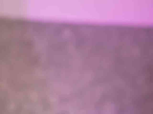itsjessiebabe
